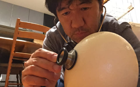 塚本教授 ダチョウの卵に聴診器をあてる